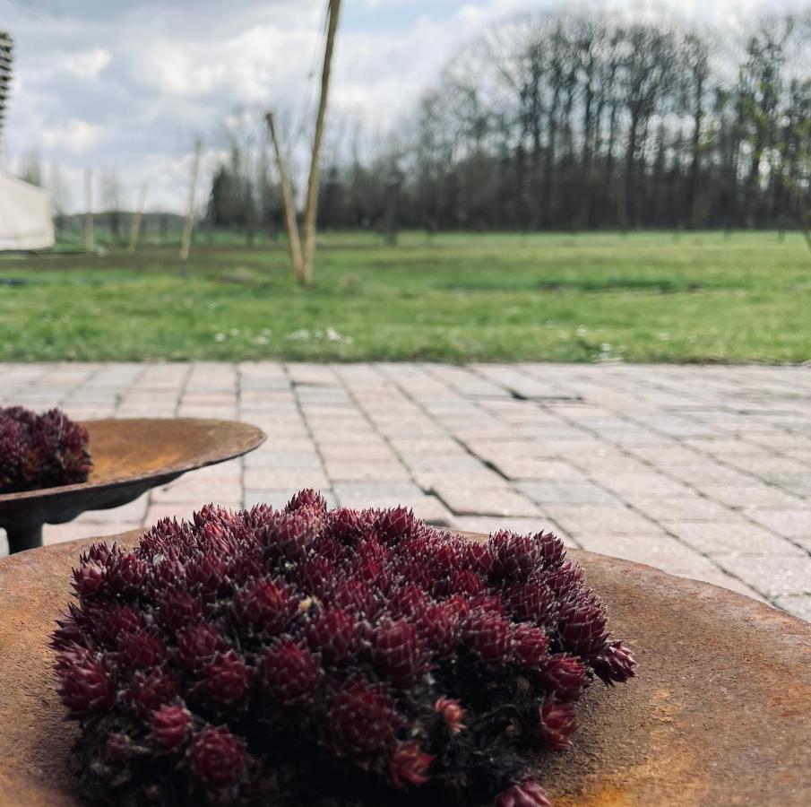 No Tempo Villa Knesselare Kültér fotó